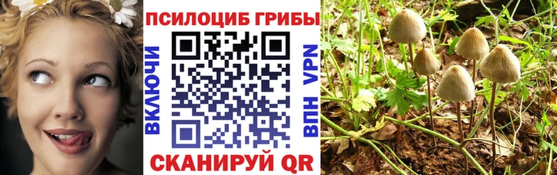 Галлюциногенные грибы Cubensis  закладки  Таруса 